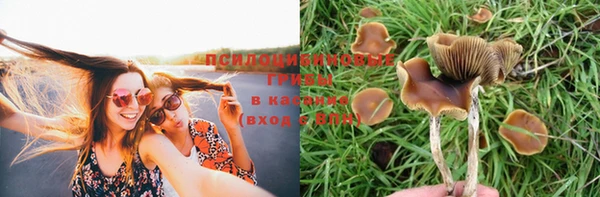 дмт Кулебаки