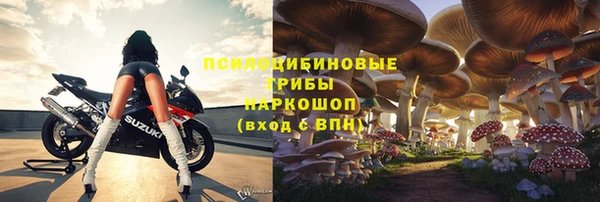 дмт Кулебаки